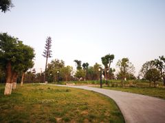 -汉长安城未央宫国家考古遗址公园