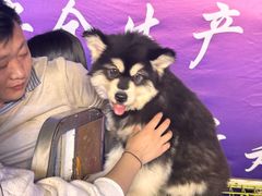 -鼓楼夜市