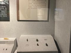 -鄂尔多斯青铜器博物馆