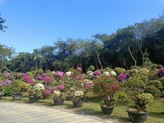 -三亚蜈支洲岛旅游区