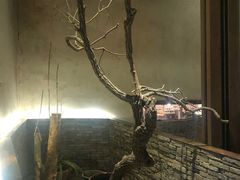 -几荷·恰似故人来(秀水广场店)