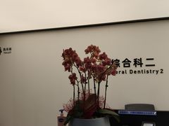 -杭州口腔医院(城西院区)