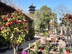 -乌镇西栅景区