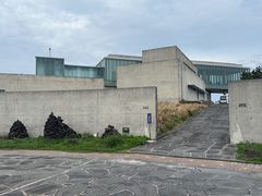 -涉地可支