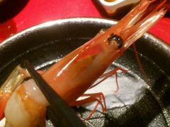 甜虾-初花·日本料理
