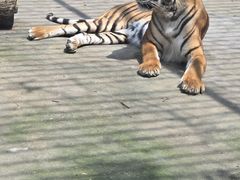 -南昌动物园