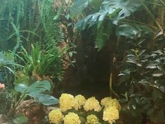 -颐而康·按摩·艾灸·足疗(武陵大道店)