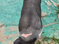 -明珠湖天鹅苑·农家菜馆