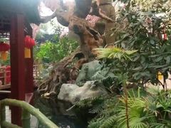 -新世纪绿洲(抚顺店)