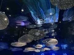 -盒马X会员店(上海森兰商都店)