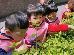 -黄浦乐烁龙鱼宝贝托育园(海潮路校区)