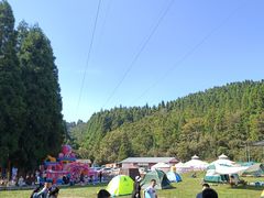-武陵山森林公园