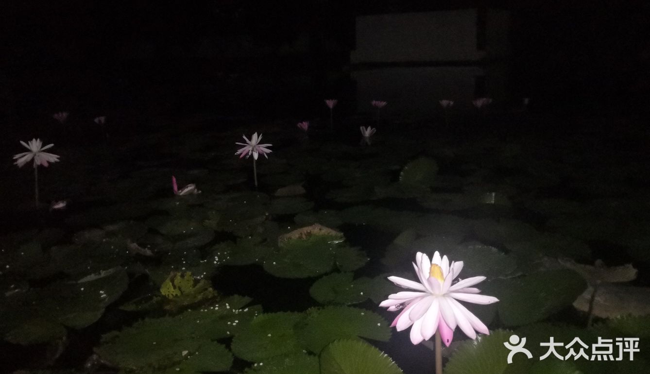 一起合道