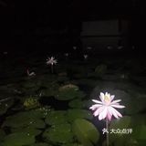 一起合道