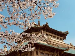 -武汉大学-樱园