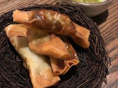 -Apollo·西班牙小酒馆(安福路店)