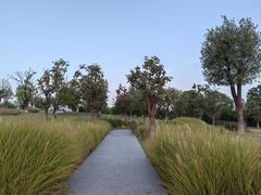 -汉长安城未央宫国家考古遗址公园