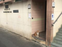 -南丫岛