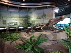 -自贡恐龙博物馆