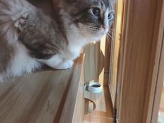 -白兔子密室(长寿路店)