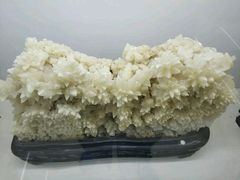 -二连浩特国家地质公园