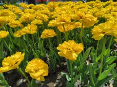 -玄武湖景区-情侣园游乐场