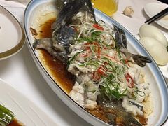 清蒸老虎斑-鹿鸣春饭店(总店)