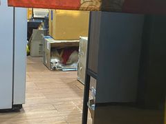 -元氏钵仔糕(北京路店)