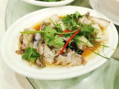 清蒸深海大龙趸-南庄酒家·海鲜粤菜·25年老字号(环城南路店)