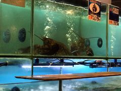 水产区-南海渔家•海鲜•正宗海南菜(海棠湾店)