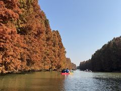 -上海海湾国家森林公园