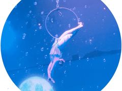-芜湖新华联大白鲸海洋公园