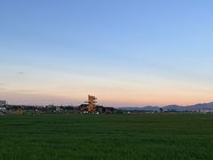 -黄海国家森林公园