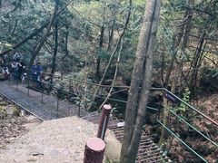 -藏龙百瀑风景区