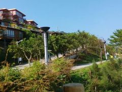 -放鸡岛生态旅游国际度假区