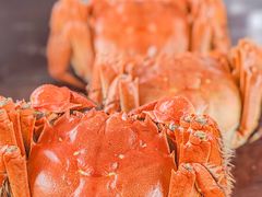 -乡乐园蟹庄·阳澄湖农家乐