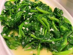 -拈菜(观音桥阳光世纪店)
