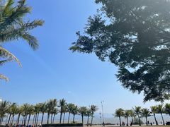 -深圳湾公园(南山区)