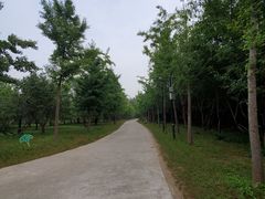 -廊坊市自然公园