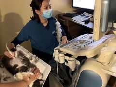 -萌兽医馆·犬猫专科·眼科中心·宠物医院(朝阳门分院)