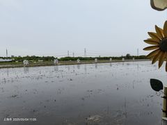 -嘉北郊野公园