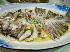 招牌野生海鲈鱼-南湖船菜大酒店