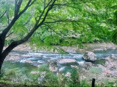 -岚山嵯峨野观光小火车