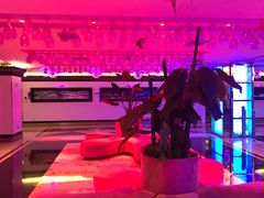 -东方之珠KTV娱乐超市(河北店)