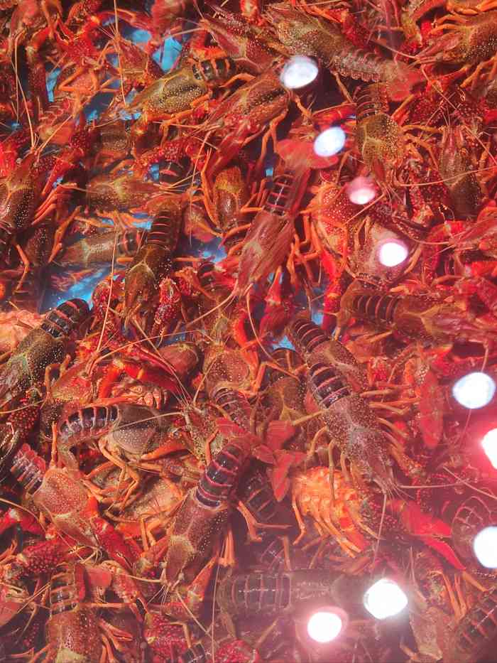 同鑫水产-"[调皮]定位准确,导航即可,有停车位. ."-大众点评移动版