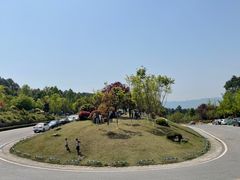 -铁山坪森林公园