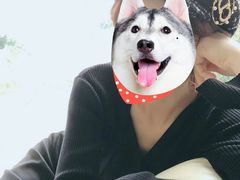 -BreadTalk面包新语·烘焙蛋糕(东方宝泰广场店)