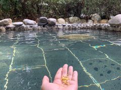 -明月山天沐温泉度假村