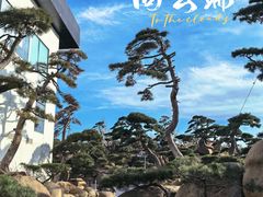 -罗红摄影艺术馆
