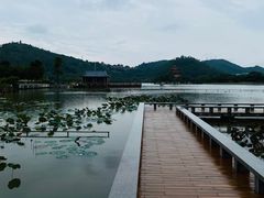 -顺峰山公园